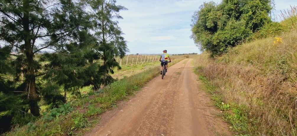 Picture 6 for Activity Óbidos: E-Bike Tour to Quinta do Gradil with Wine Tasting 2