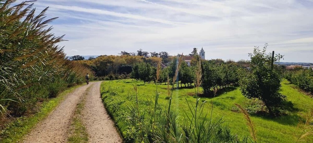 Picture 1 for Activity Óbidos: E-Bike Tour to Quinta do Gradil with Wine Tasting 4