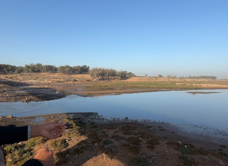 Picture 11 for Activity Agadir: Souss Massa 4WD Desert Safari with Lunch 2