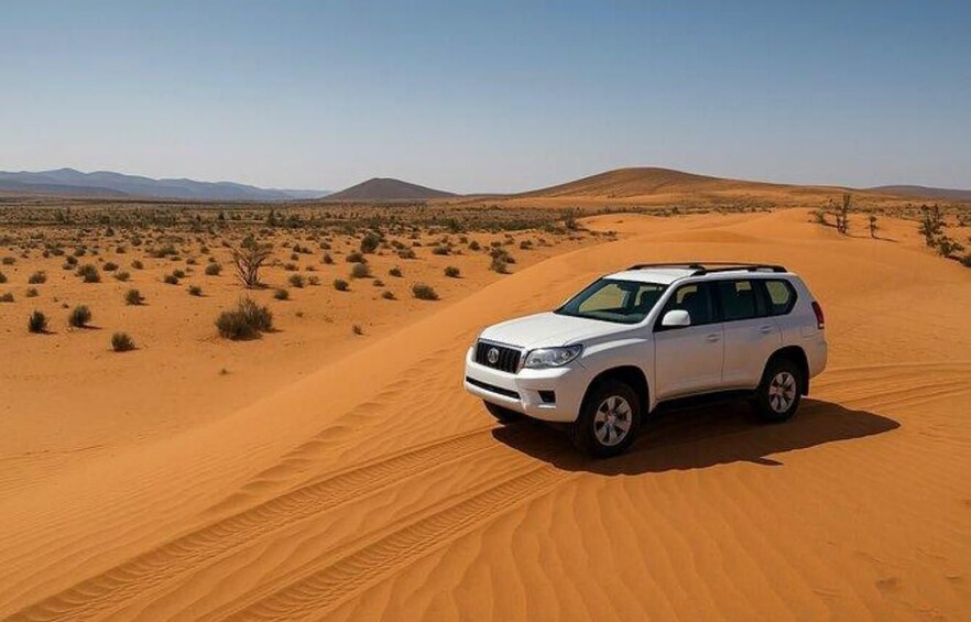 Un VUS blanc sur une dune de sable, dans un paysage désertique à la végétation clairsemée, avec des montagnes lointaines. 1