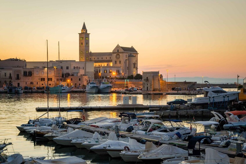 From Bari: Castel del Monte and Trani Small-Group Day Trip 1