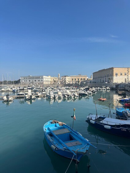 Picture 4 for Activity From Bari: Castel del Monte and Trani Small-Group Day Trip 3