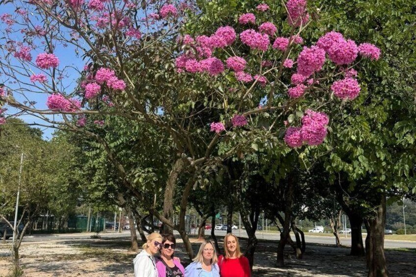 6H São Paulo Essential Private Tour and Gastronomic Experience 2