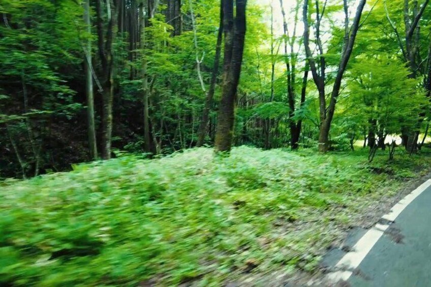 1 Hour Scenic Downhill Bike Ride Through Rural Japan 5