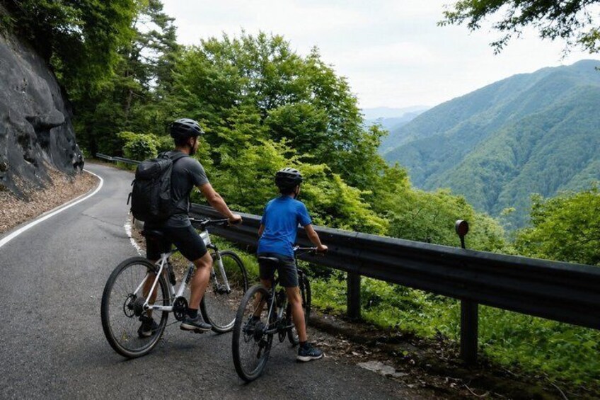 1 Hour Scenic Downhill Bike Ride Through Rural Japan 1