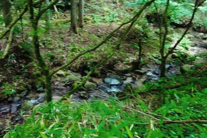 1 Hour Scenic Downhill Bike Ride Through Rural Japan 4