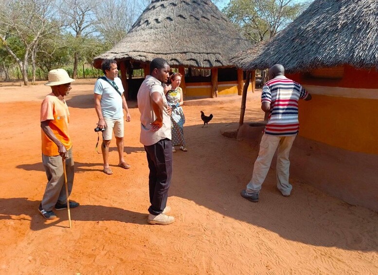 Picture 6 for Activity Victoria Falls: Scenic and Culture Tour with Boma Dinner 2
