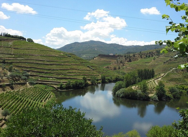 Private Premium Tour to the Douro Valley 1