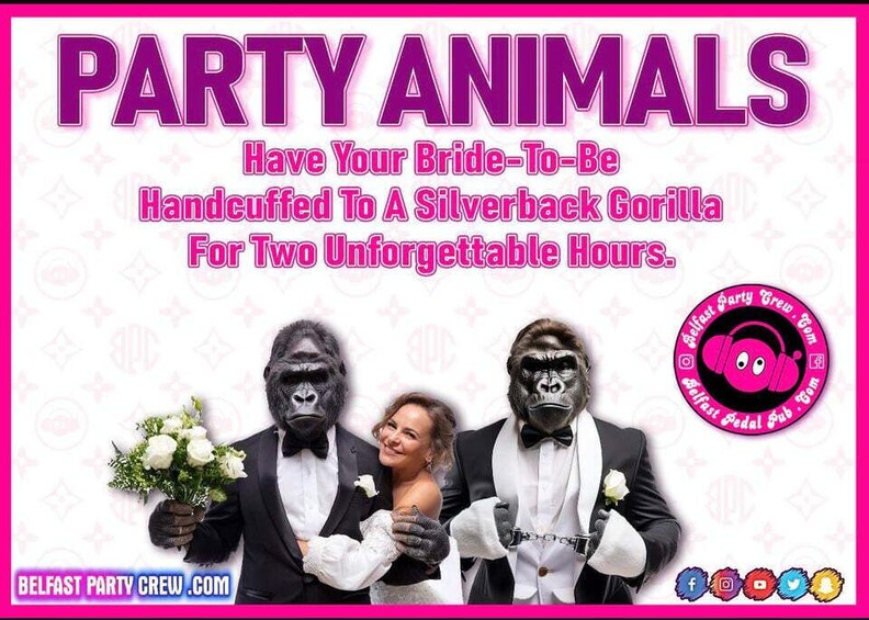 Picture 6 for Activity Belfast: Gorillagram Party Experience 2