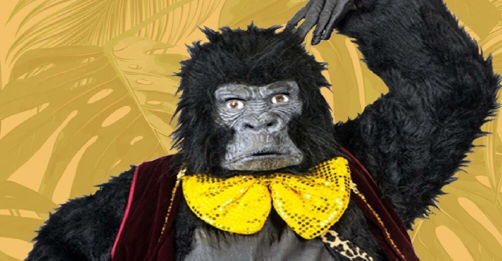 Belfast: Gorillagram Party Experience 1