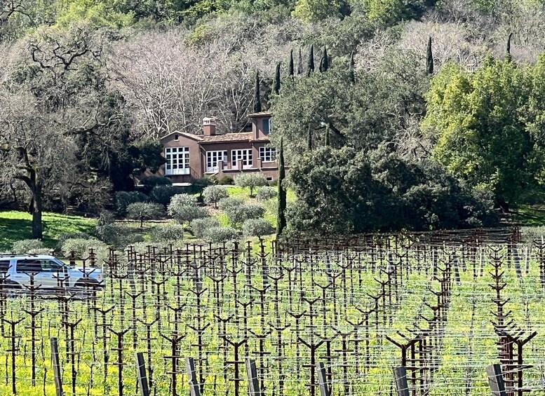 Picture 15 for Activity Napa and Somoma Valley Private Wine Tour 3