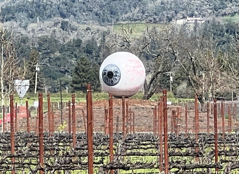 Picture 12 for Activity Napa and Somoma Valley Private Wine Tour 4