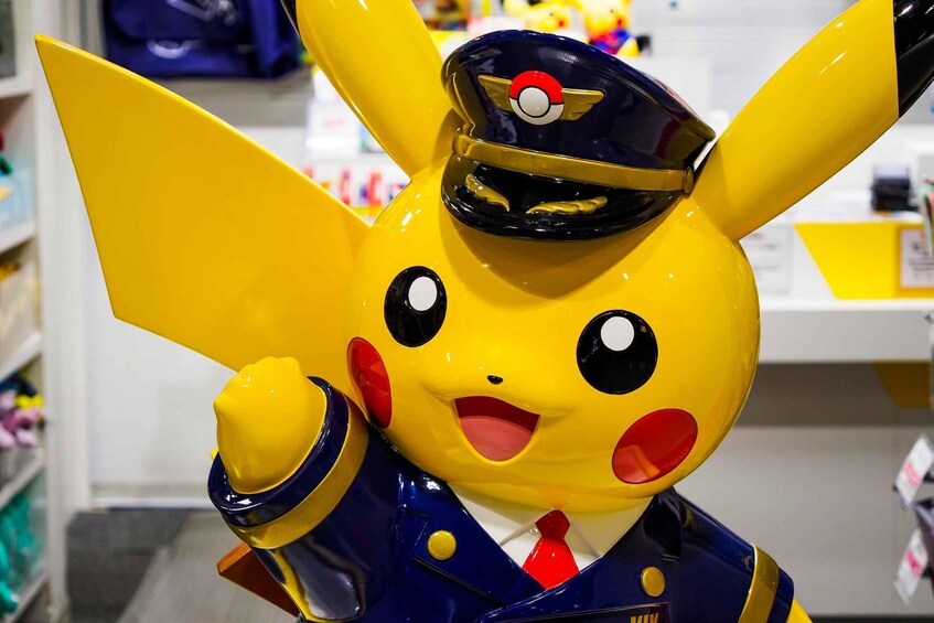 Tokyo Akihabara : Anime and Manga Private Tour with Local 1