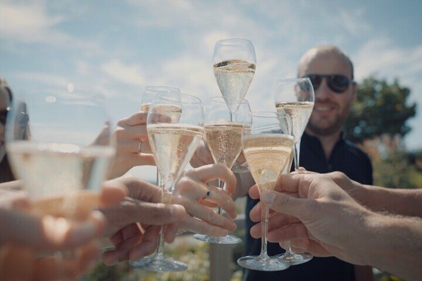 A group of people toasting with champagne glasses. 4