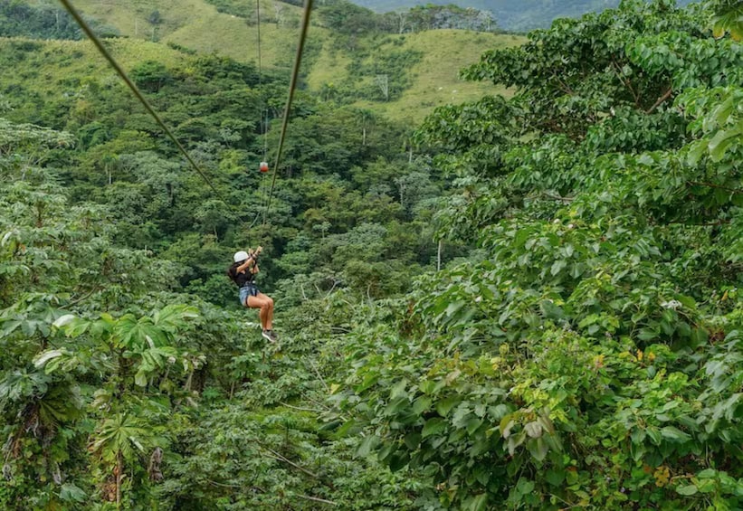 En person åker på en zipline genom en frodig, grön skog. 4