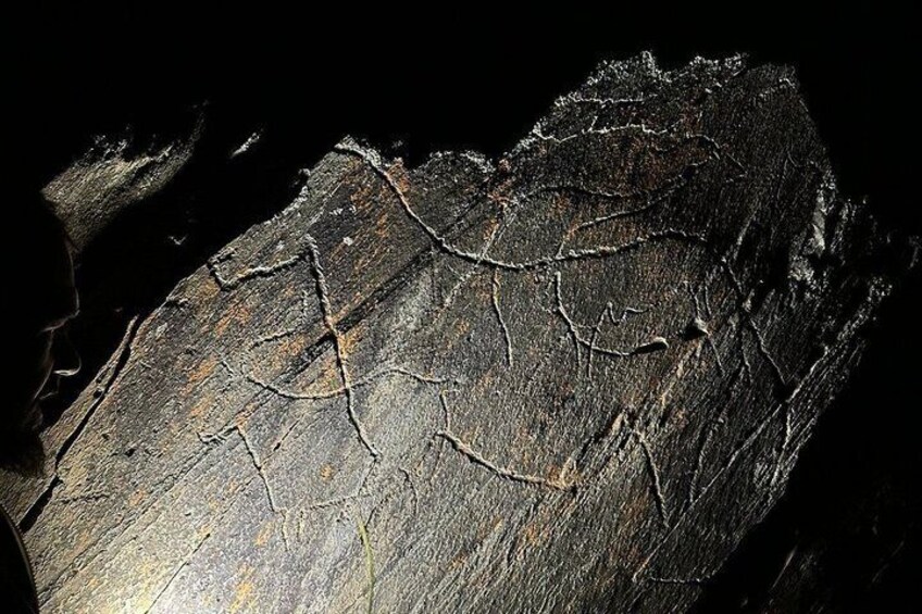 Nocturnal visit to the Côa Valley Rock Art 1