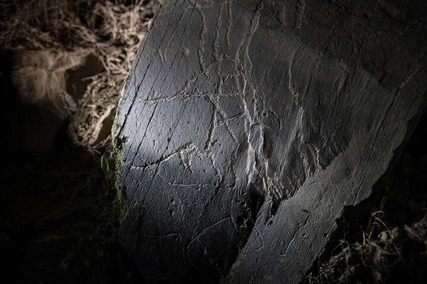 Nocturnal visit to the Côa Valley Rock Art 4