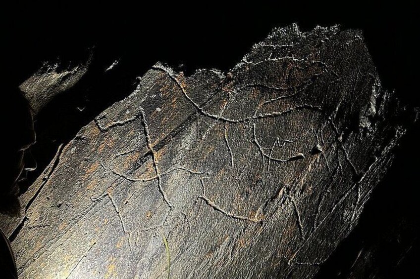 Nocturnal visit to the Côa Valley Rock Art 1