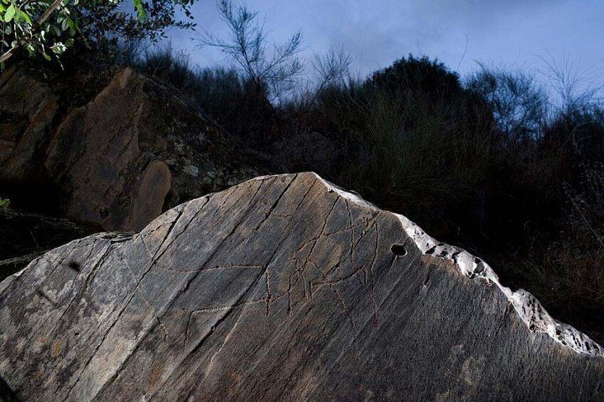 Nocturnal visit to the Côa Valley Rock Art 4