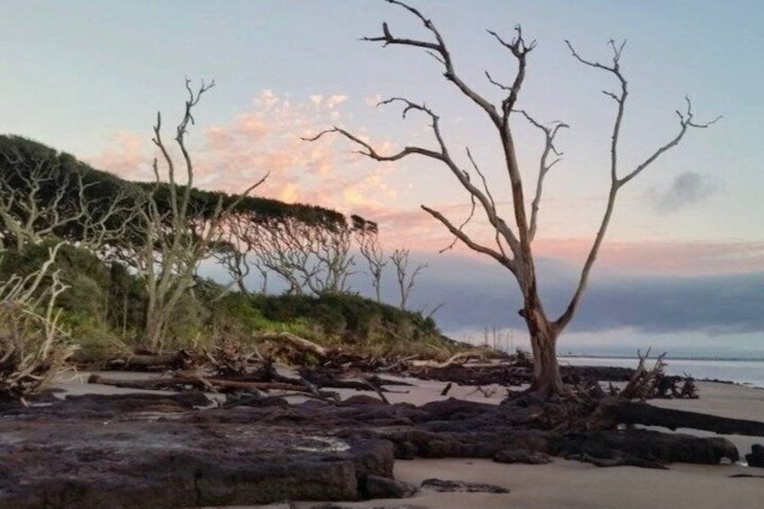Guided Costal Walking Tour in Amelia and Talbot Islands 1
