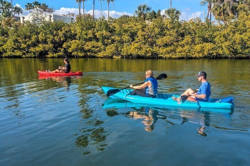Two people kayaking on calm water with dense mangrove trees in the background. 2