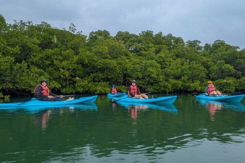 Three kayaks on calm water with dense green foliage in the background. 3
