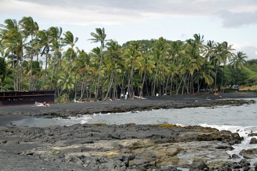 A beach with palm trees, a rocky shoreline, and a small wooden structure. 5
