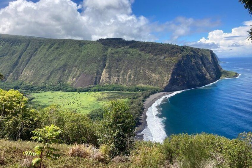 Akaka Falls State Park Bus Tour 1