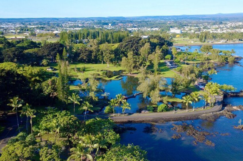 Hilo Shore Excursion Tropical Escape: Akaka Falls & Black Sands 2