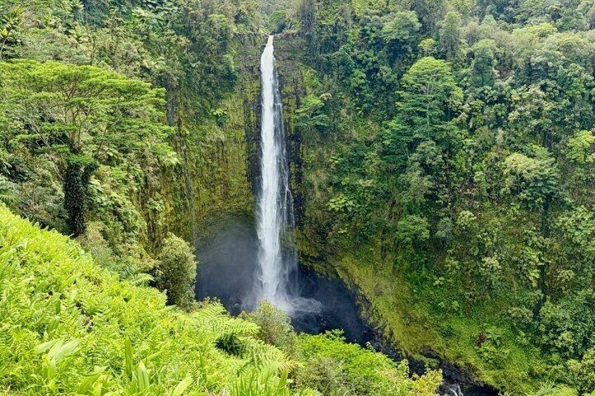 Explore Hilo with Akaka Falls Tour 1