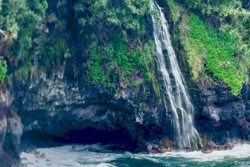 Hilo Shore Excursion Tropical Escape: Akaka Falls & Black Sands 3