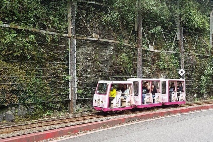 A pink train on tracks with passengers, surrounded by greenery and a fence. 1