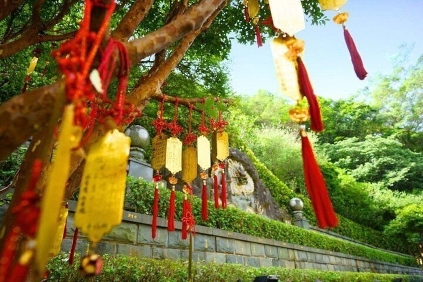 A tree with hanging red and yellow decorations, a stone wall, and greenery in the background. 3