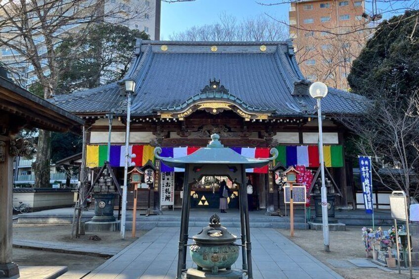 Kawagoe Little Edo Classic Tour Old Town and Hidden Gems 5