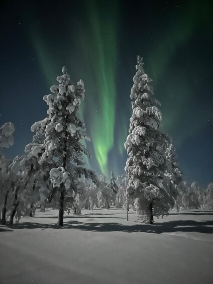 Picture 8 for Activity Saariselkä: Northern Lights Hunt by Car & Hot Drinks 2