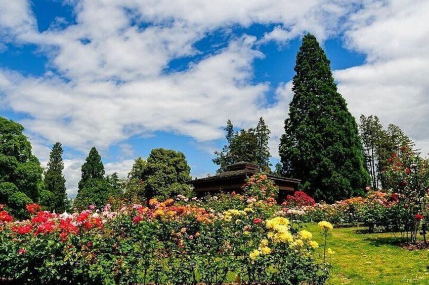 A garden with various colorful flowers, tall trees, and a wooden structure. 2
