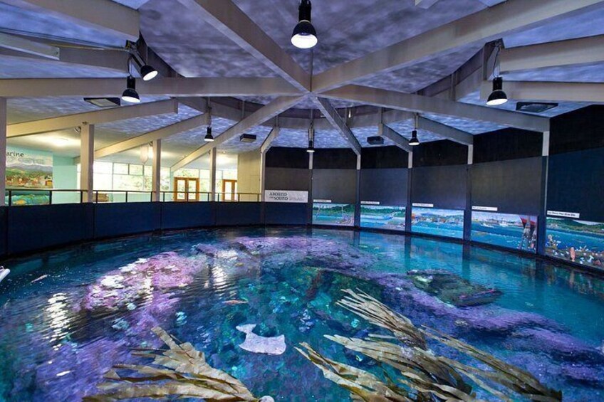 An indoor aquarium with a large tank, ceiling lights, and informational displays. 4