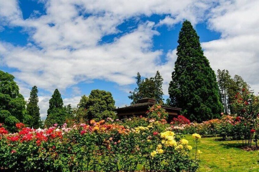 Full-Day Scenic Tour of South Puget Sound from Seattle 4