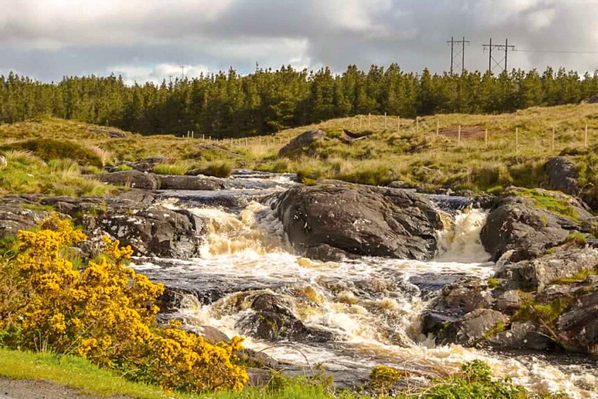 A river flowing over rocks, surrounded by greenery and power lines in the distance. 2