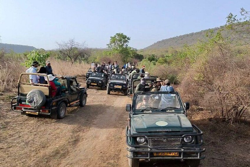 A safari tour with jeeps on a dirt road. 3
