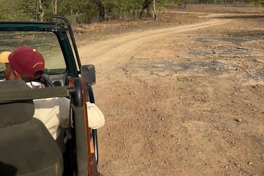 A vehicle on a dirt road with sparse vegetation. 4