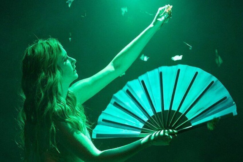 Magic Happens at The Wagsters Magic Theatre 2