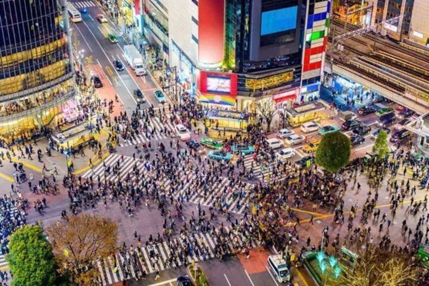 Explore and Experience Tokyo with a Local Guide 3