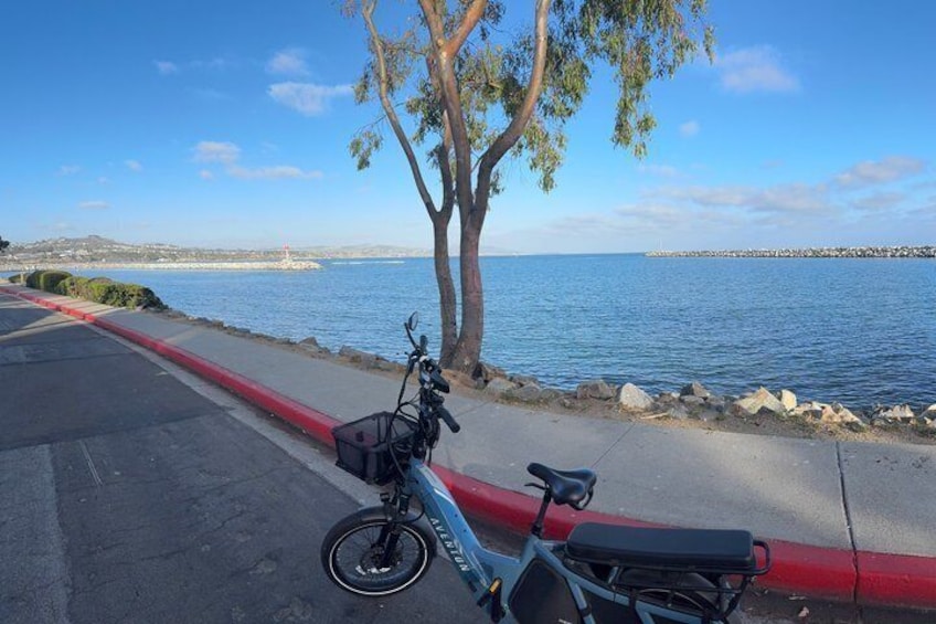 Guided eBike Tour Along Dana Point Coastline 2