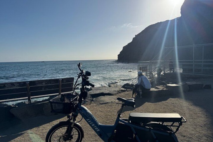 Guided eBike Tour Along Dana Point Coastline 4