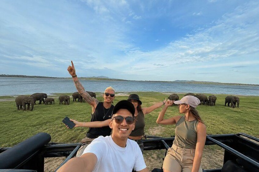 Minneriya National Park Private Jeep Safari Half Day with Pickup 1