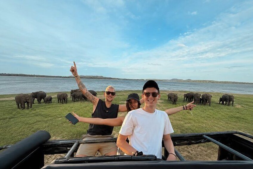 Minneriya National Park Private Jeep Safari Half Day with Pickup 2