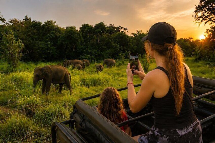 Minneriya National Park Private Jeep Safari Half Day with Pickup 5
