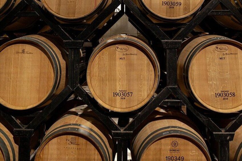 Private tour and wine tasting in Aranda de Duero 2