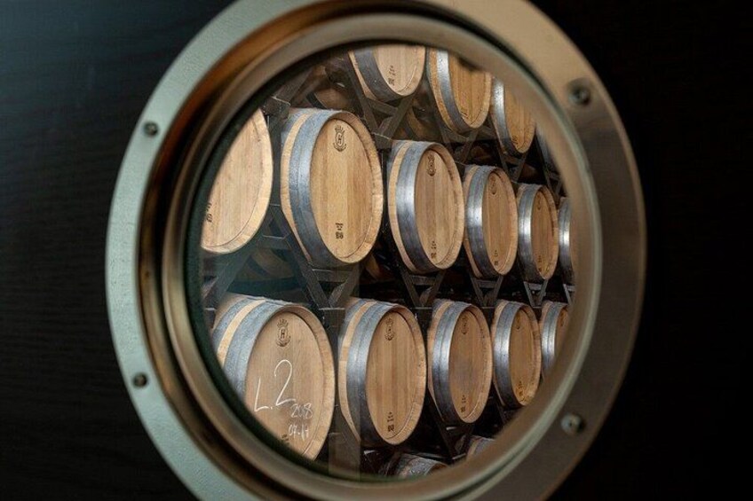 Private tour and wine tasting in Aranda de Duero 4